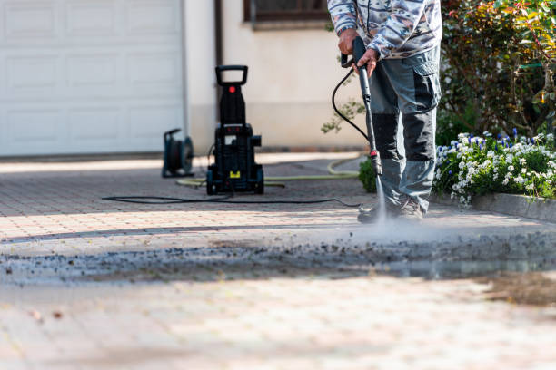 Best House Pressure Washing  in Tripoli, IA