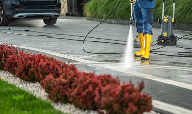Best Concrete Pressure Washing  in Tripoli, IA