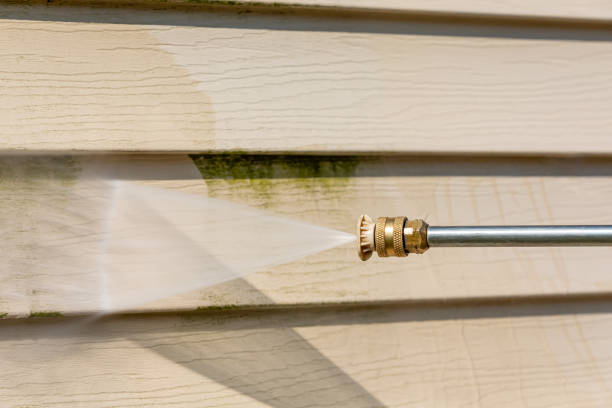 Best Pressure Washing Cost  in Tripoli, IA
