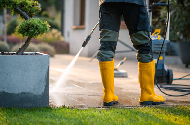 Best Deck Pressure Washing  in Tripoli, IA